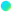 GROWFIKS gradient dot icon